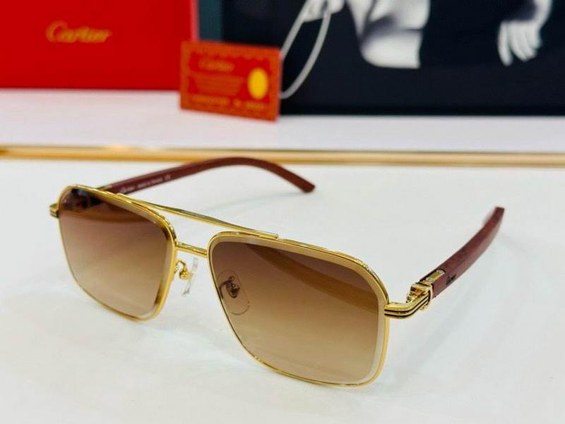 Cartier Sunglasses 1076